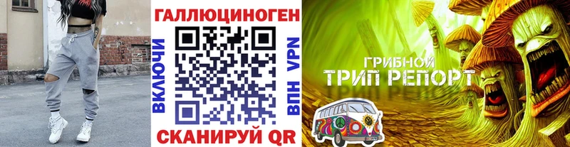 Псилоцибиновые грибы GOLDEN TEACHER  закладка  mega как войти  Аткарск 