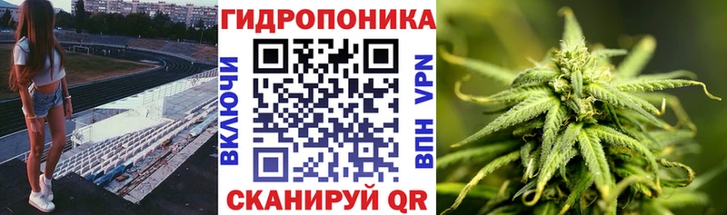 закладка  Аткарск  Бошки Шишки индика 